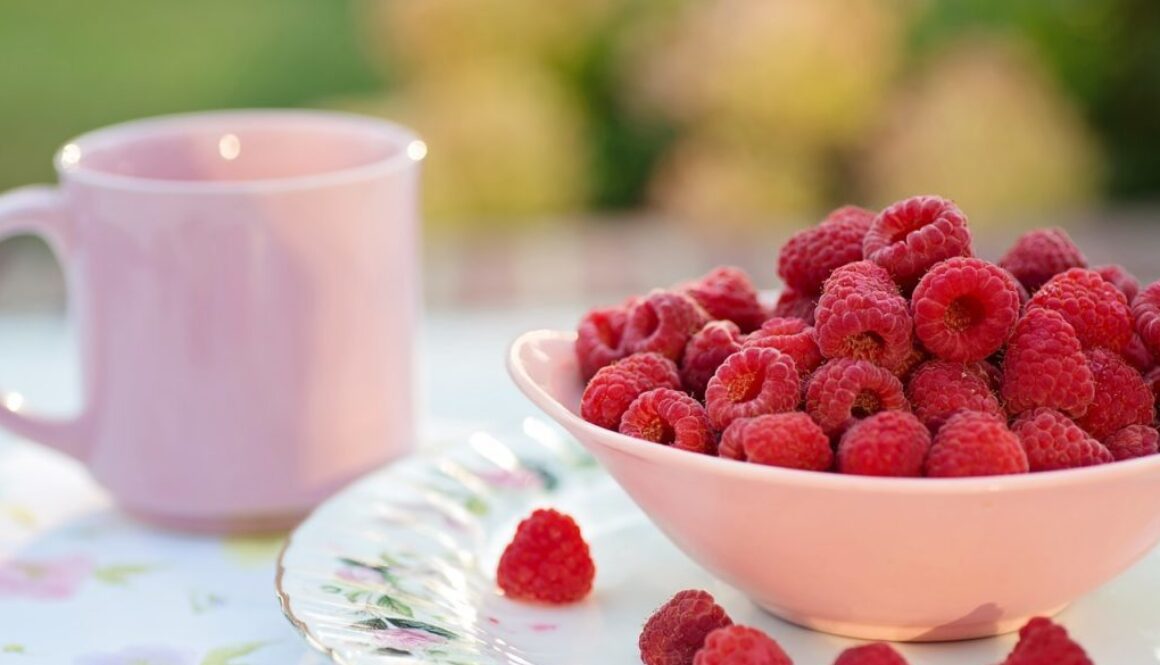 raspberries-2665615_1280-1024x682-1024x585