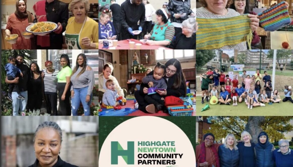 HNCP inpact report