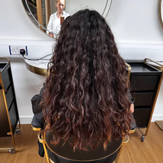 hair-back1