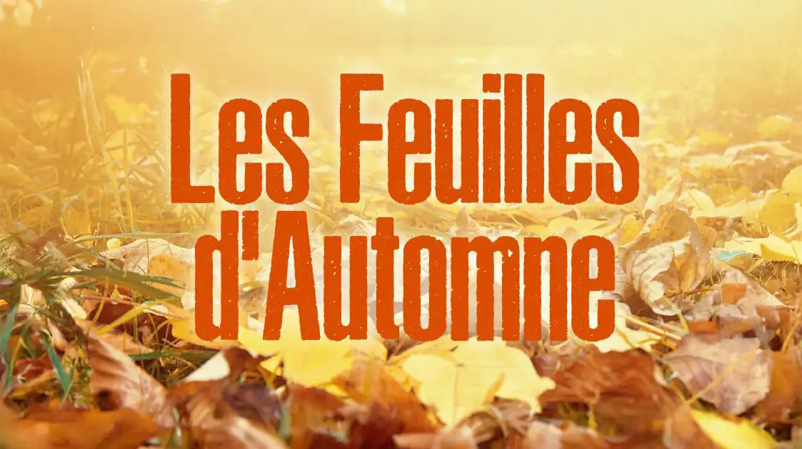 Feuilles dautomne