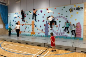 Climbing wall 1 Climbing wall 1
