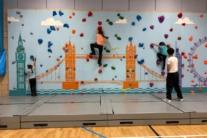 climbing wall 2 climbing wall 2