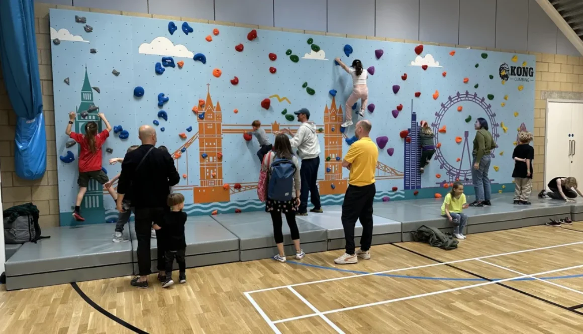 climbing wall 5